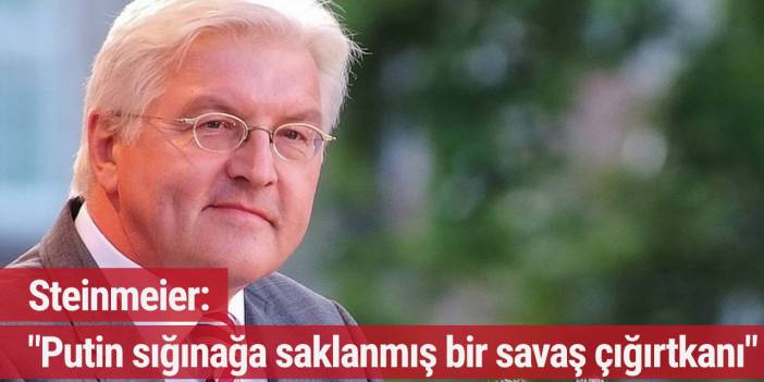Steinmeier: "Putin, sığınağa saklanmış bir savaş çığırtkanı"