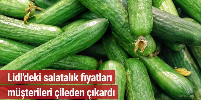 Lidl'deki salatalık fiyatları müşterileri çileden çıkardı