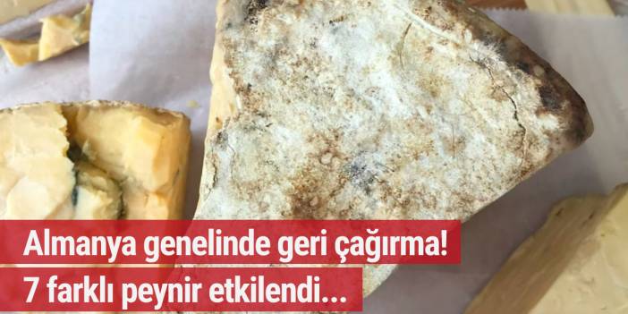 Almanya genelinde geri çağırma! 7 farklı peynir etkilendi