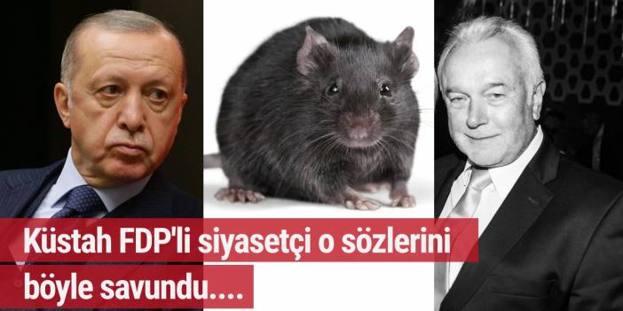 Erdoğan'a 'Lağım faresi' diyen Kubicki geri adım atmadı... İşte savunması