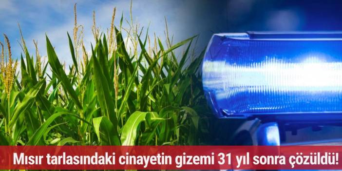 Kuzey Ren-Vestfalya mısır tarlasındaki cinayetin gizemi 31 yıl sonra çözüldü!