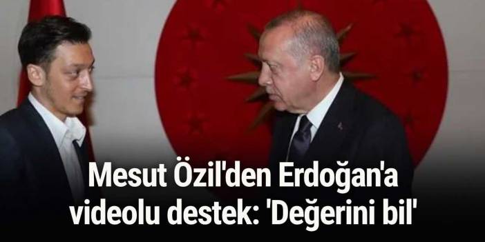 Mesut Özil'den Erdoğan'a videolu destek: 'Değerini bil'