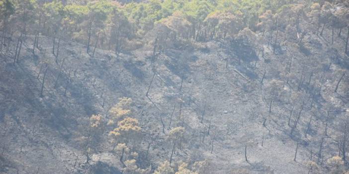 Kemer’de 5 gün sonra yangın söndü: Son hali yürek burktu