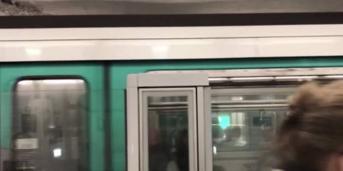 Fransa'da "tahtakurusu kabusu" devam ediyor