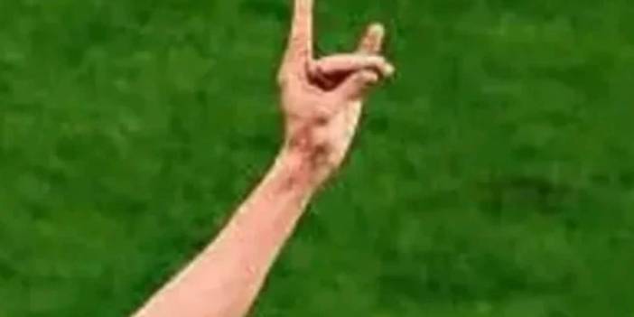 Alman yazar Türkiye maçı için "Bu beni mutlu etti" dedi ve ekledi: "Artık konu futbol değil, siyasetti"