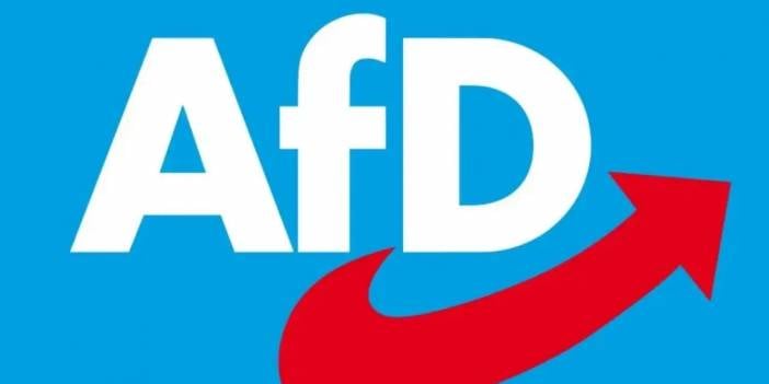 Almanya'da sıkışan AfD, ABD'ye seslendi: Lütfen bize yardım et