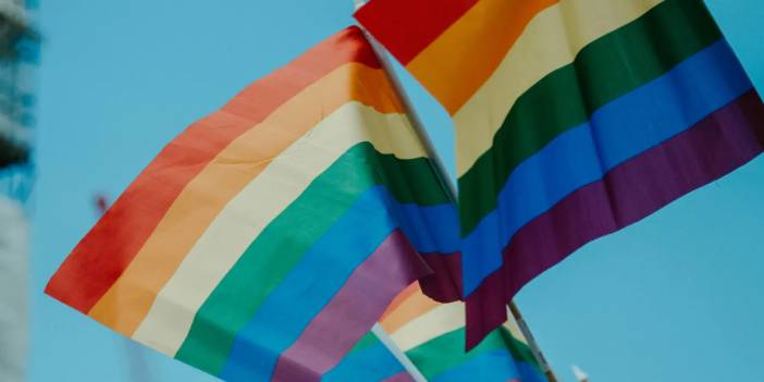 Federal Meclis'te gökkuşağı bayrağı istemeyen Merz: Burası sirk çadırı değil