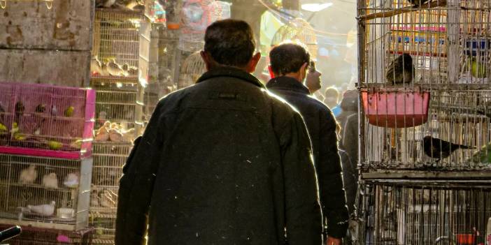 Almanya daha fazla Afganı, ülkesine göndermeyi planlıyor