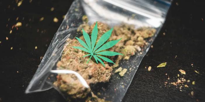 Berlin’de dev operasyon: Hindistan cevizleri arasında bir tondan fazla marihuana ele geçirildi