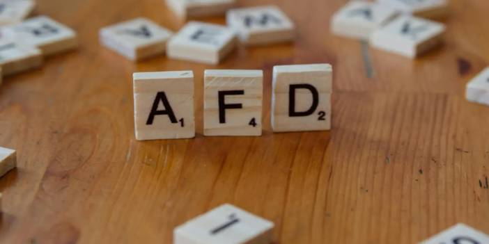 Alman şirket, yaptığı reklamla AfD'yi eleştirdi, "geri adım atmayacağız" dedi