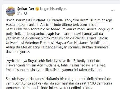 hayvan-1.jpg