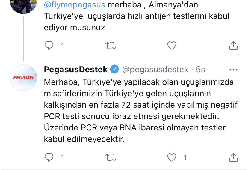 pegasus.jpeg