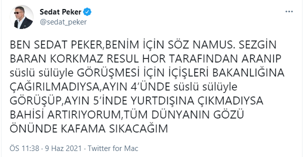 sezgin.png