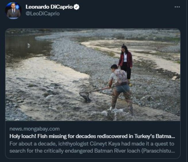 f9921705-e7ce-470a-a251-3d84fc76d5d8.jpeg
