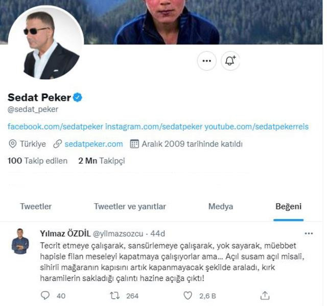 sedat-peker-4kh5.jpeg