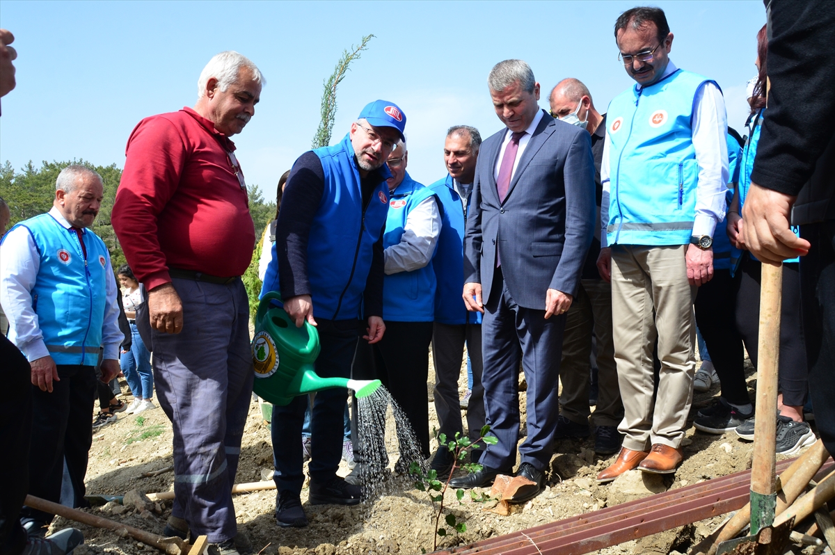aa-20220406-27488745-27488738-gurbetcilerin-bagisladigi-250-bin-fidan-turkiyede-yanan-ormanlik-alanlari-yesertecek.jpg