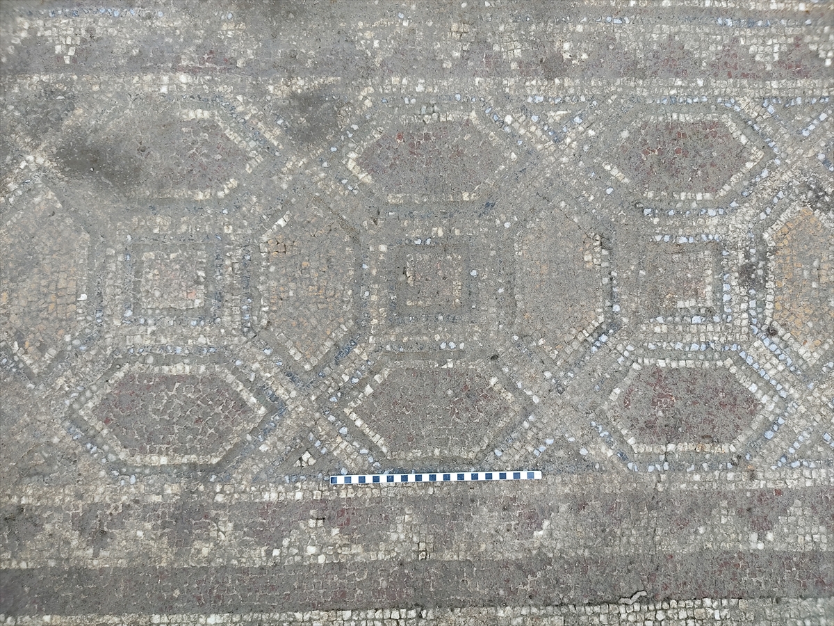 aa-20220529-28011743-28011732-bergamada-yaklasik-1800-yillik-geometrik-desenli-mozaik-bulundu.jpg
