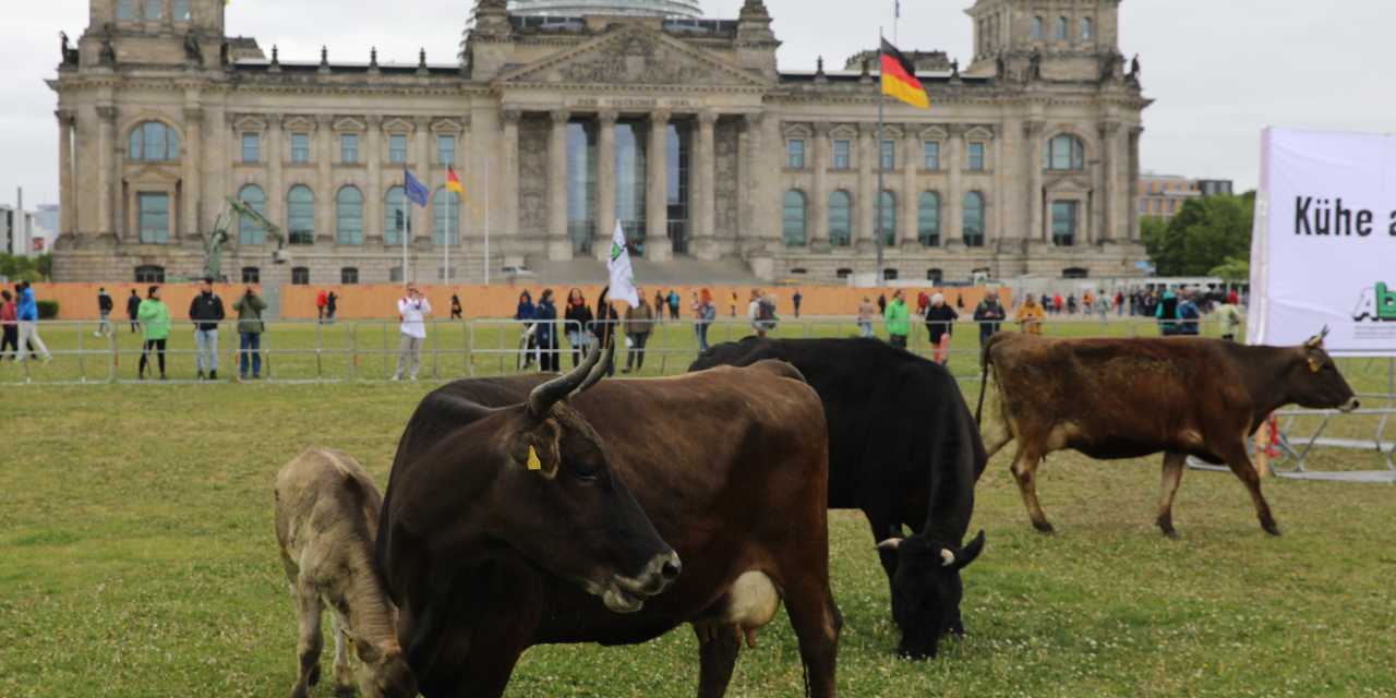 manset-taslak-ayrintilar-yorumda-3-7.jpg