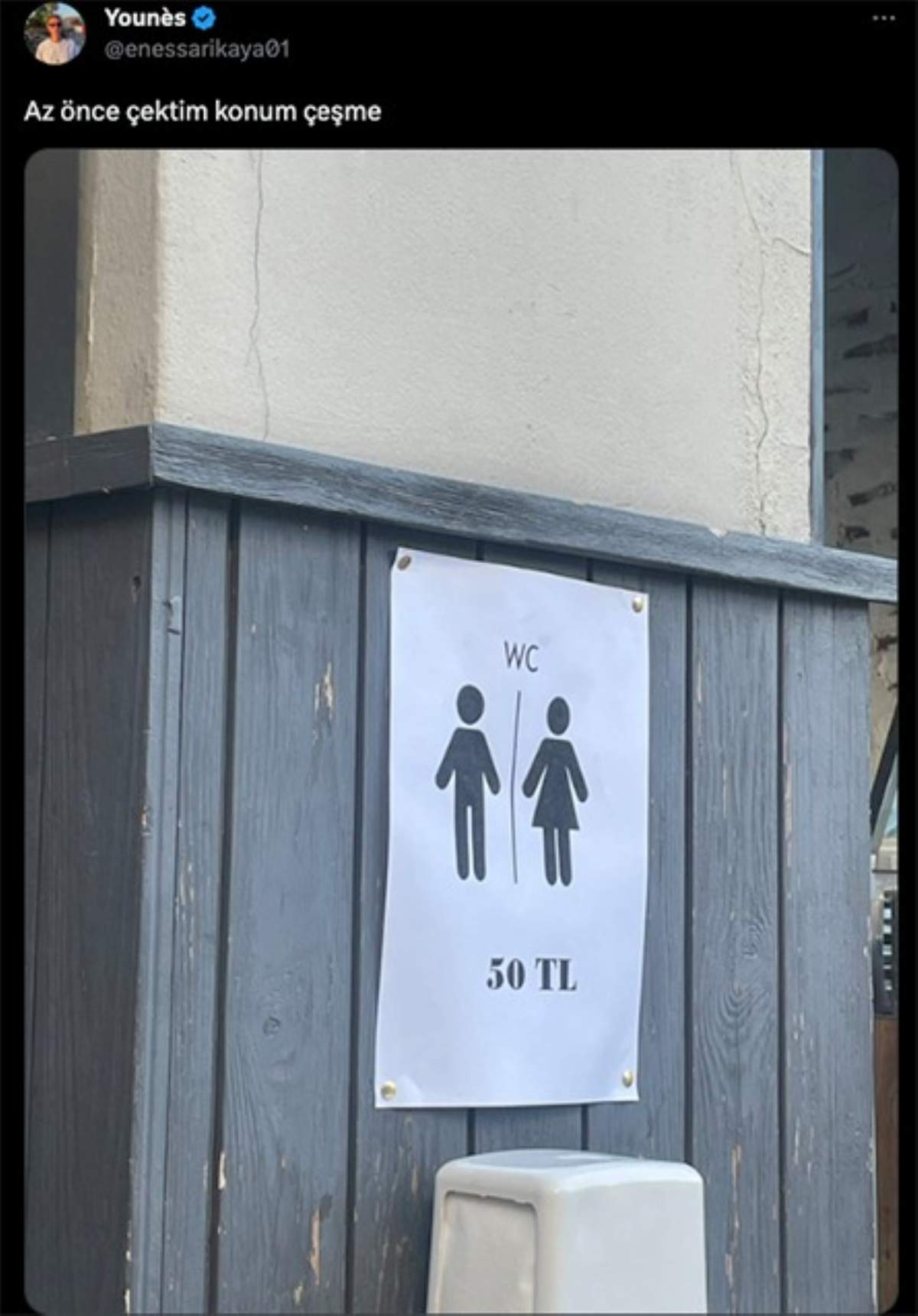 wc50.jpg