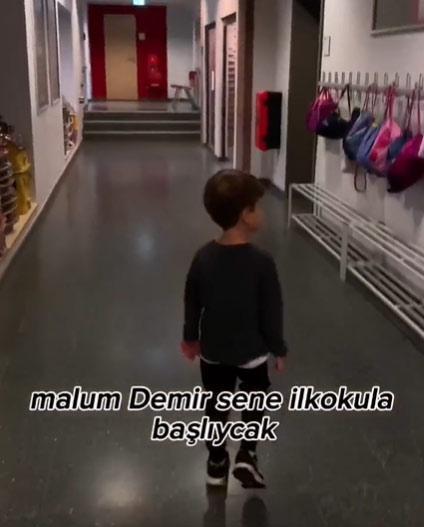 d1.jpg