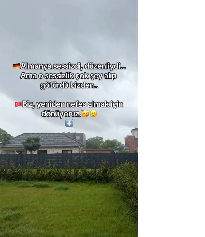 bgfbfggbgfbgf.jpg